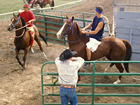 Pendleton Round Up