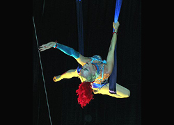 Trapeze Artist 